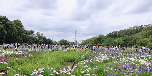 花より団子？　人、人、人・・・