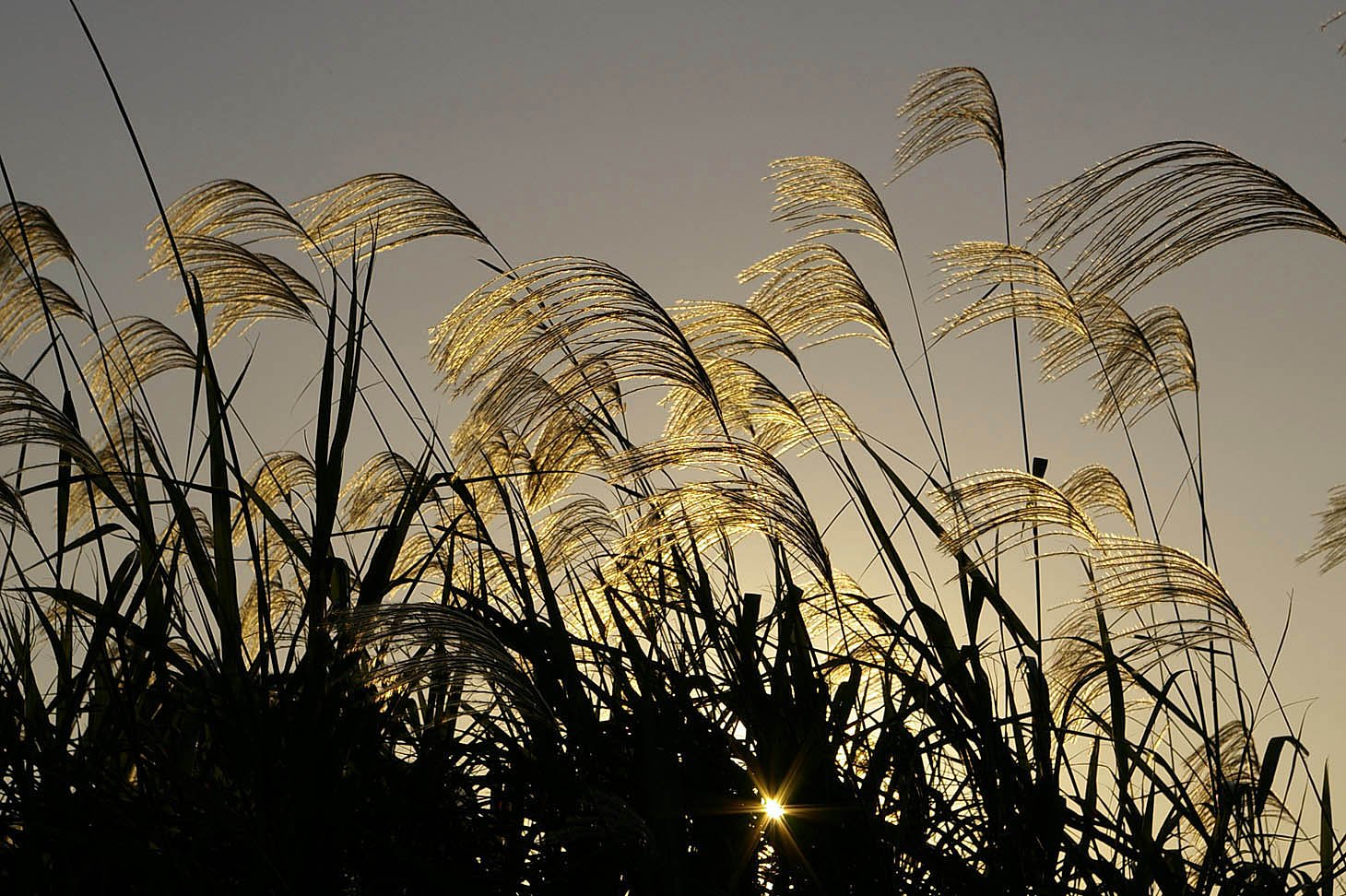 光、放つ
