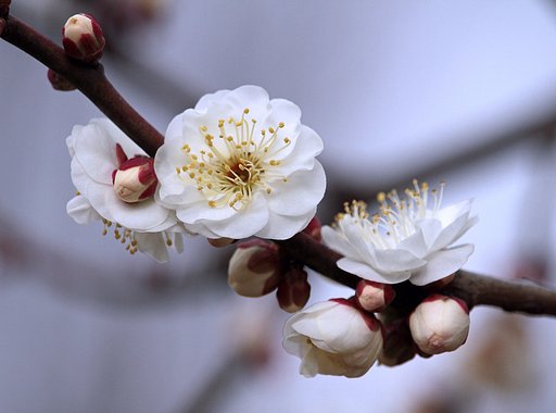 2月2日の写真