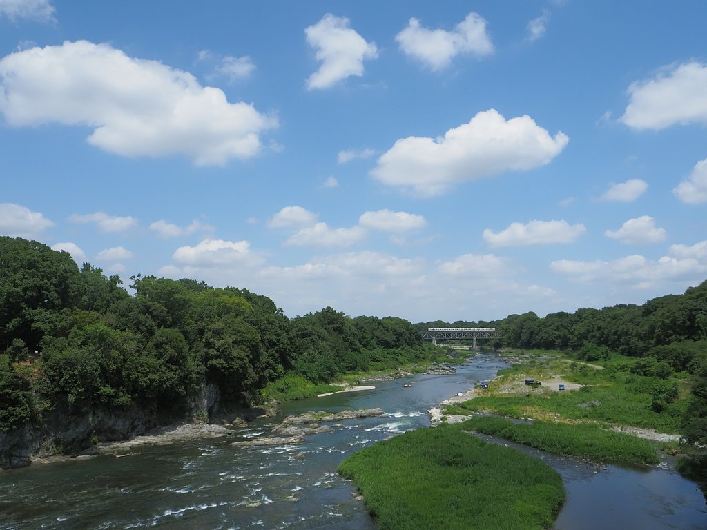 ここは「荒川」
