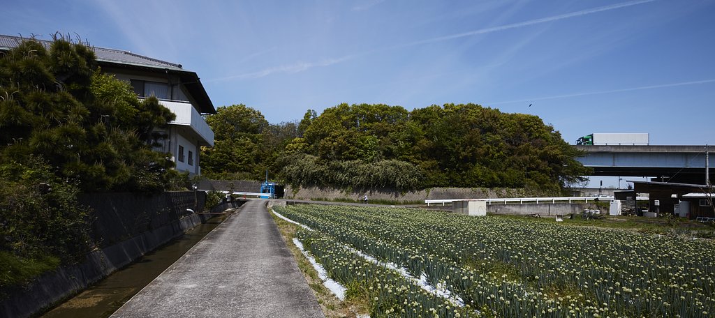 雑感
