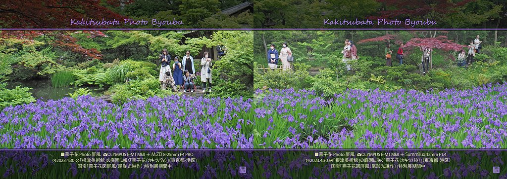 燕子花Photo屏風