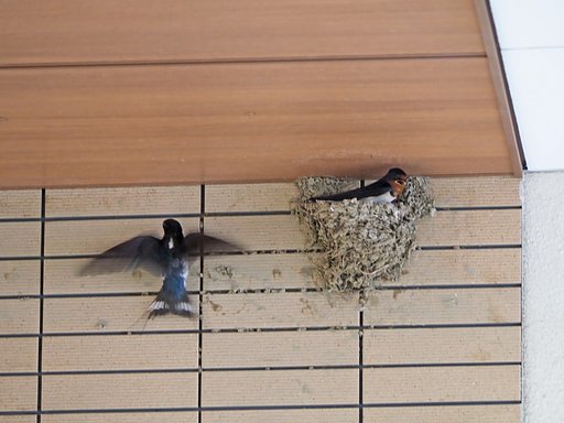 番外編～駅ナカ夏の陣～