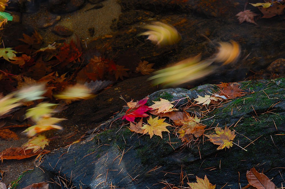 流れ