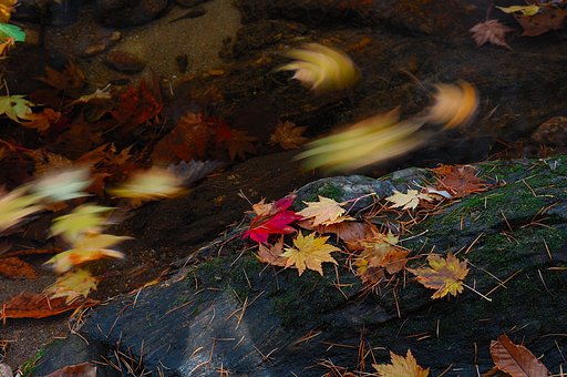 流れ