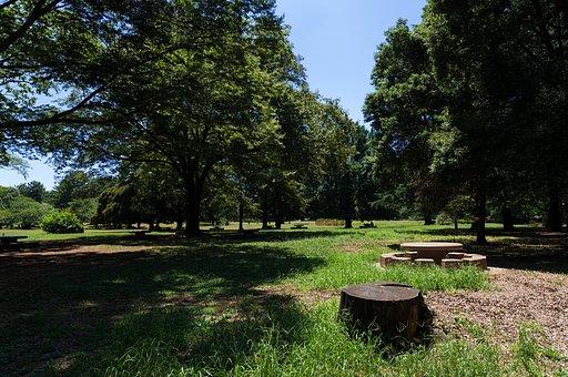 猛暑の公園