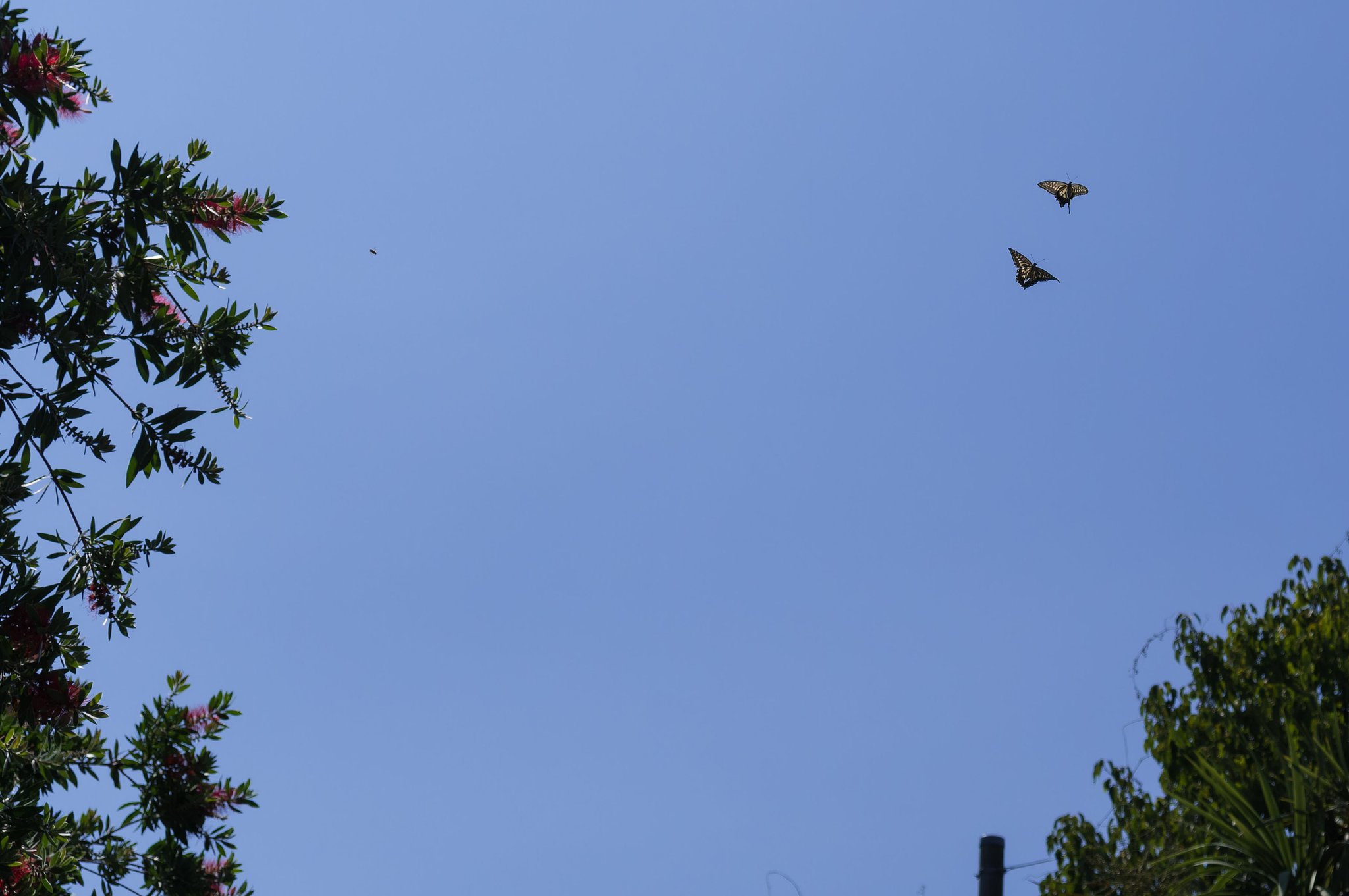 空へ