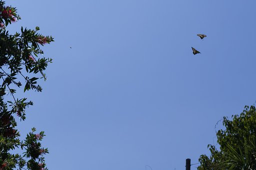 空へ