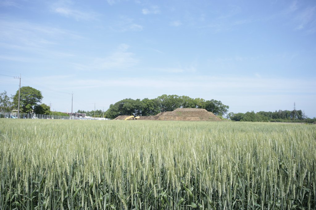 田舎の風景（５