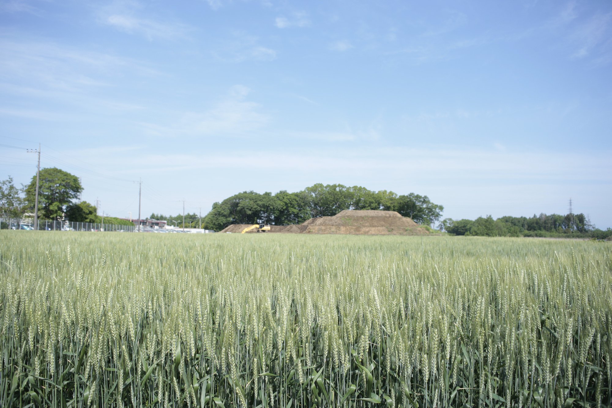 田舎の風景（５