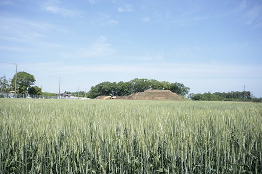田舎の風景（５