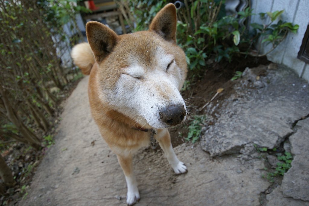 現行犯