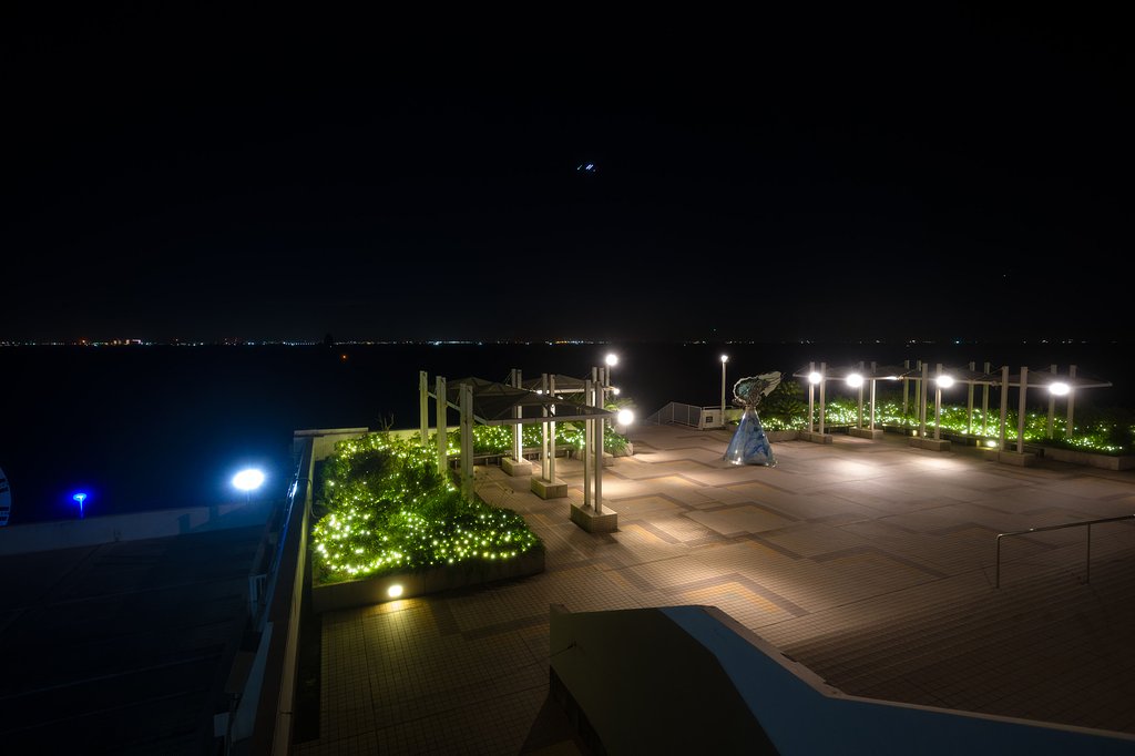 夜間飛行