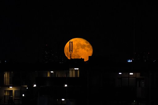 十六夜