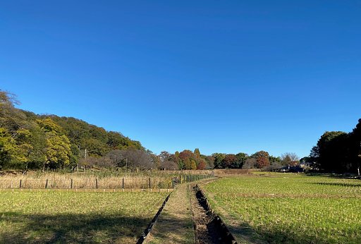 スマホで撮った秋空