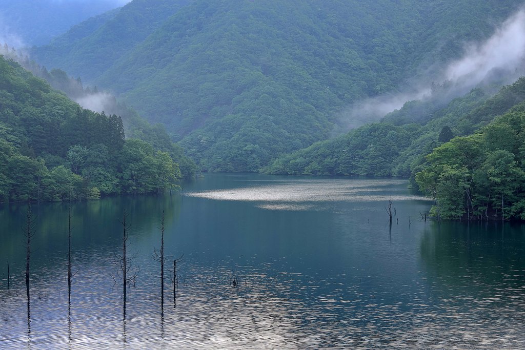 ダム湖の朝