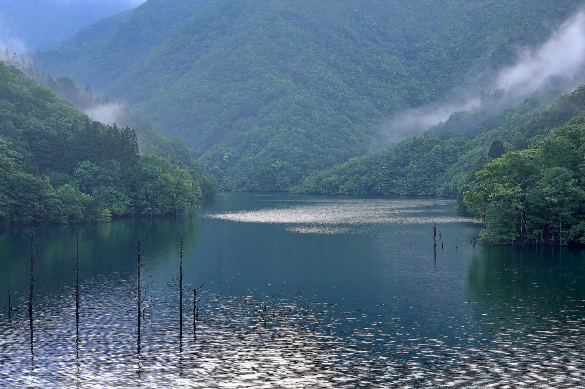 ダム湖の朝