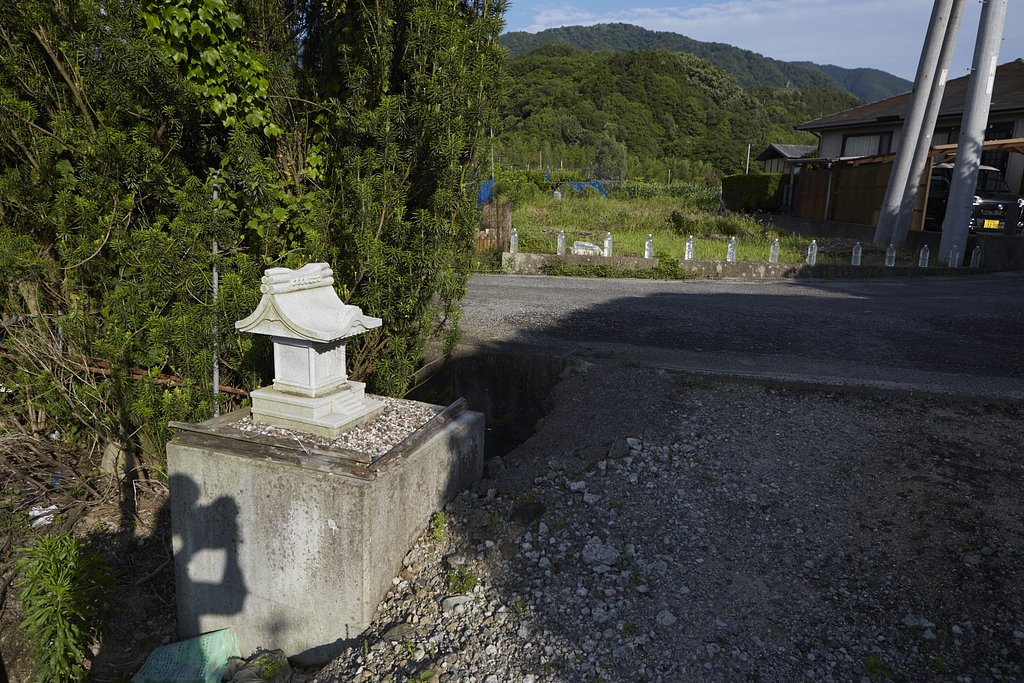 雑