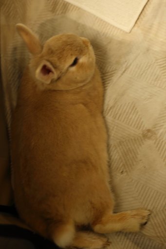 まったり(@^^)/~~~