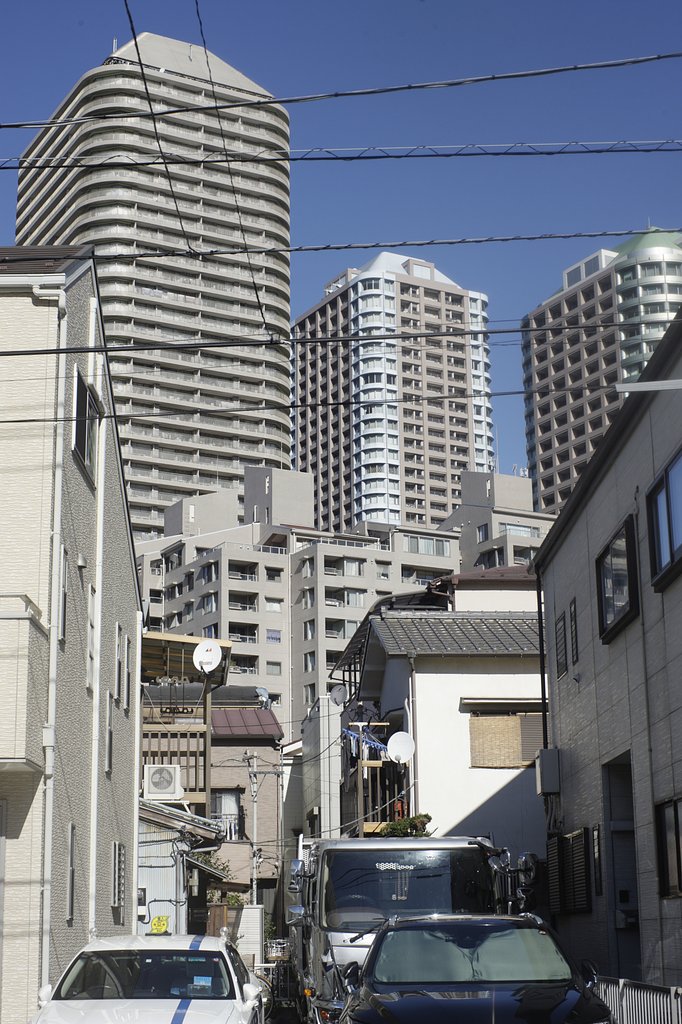 住吉神社付近から見た高層マンション