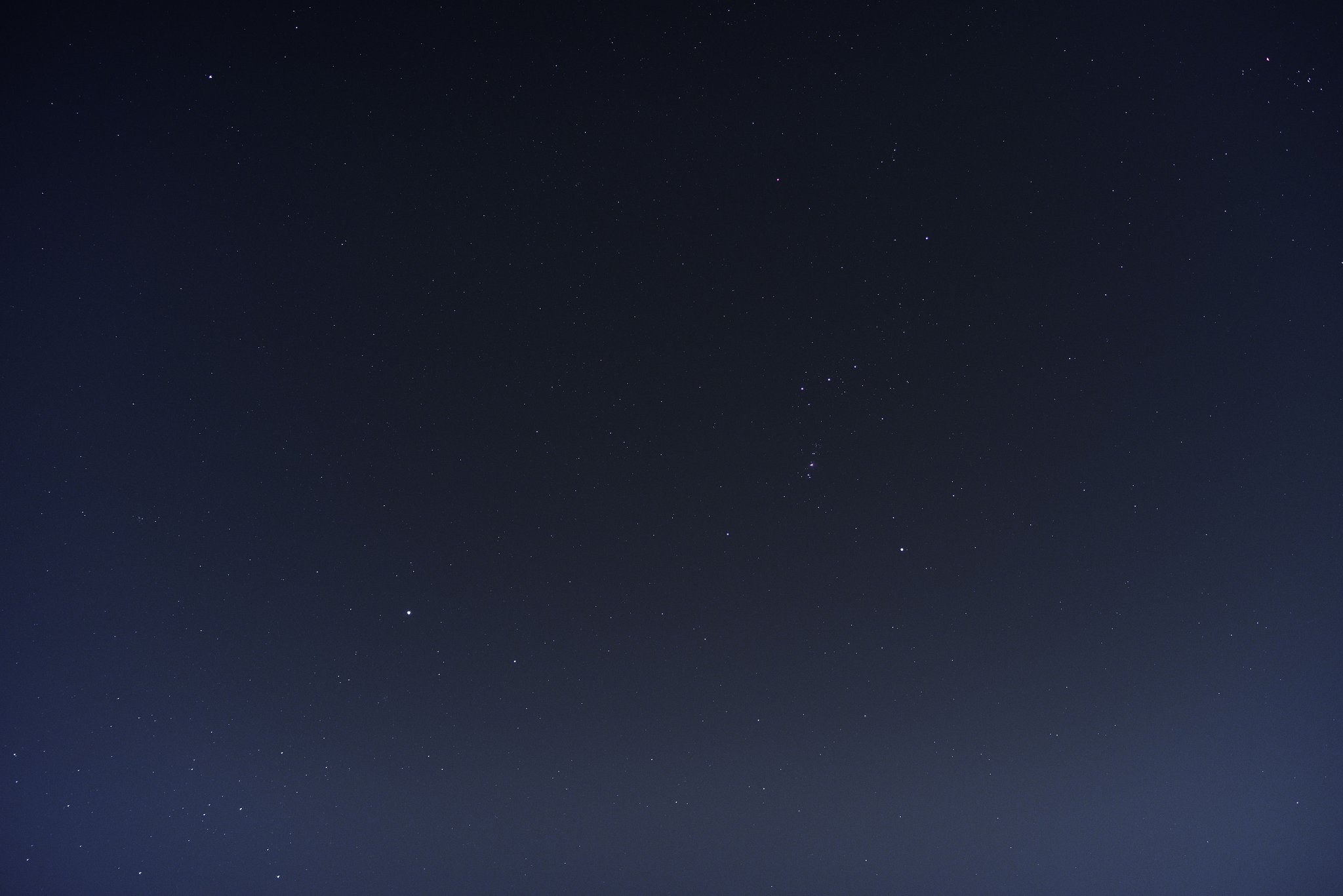 練馬のオリオン