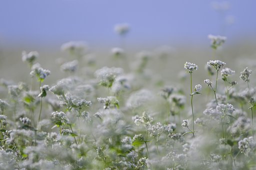 9月24日の写真