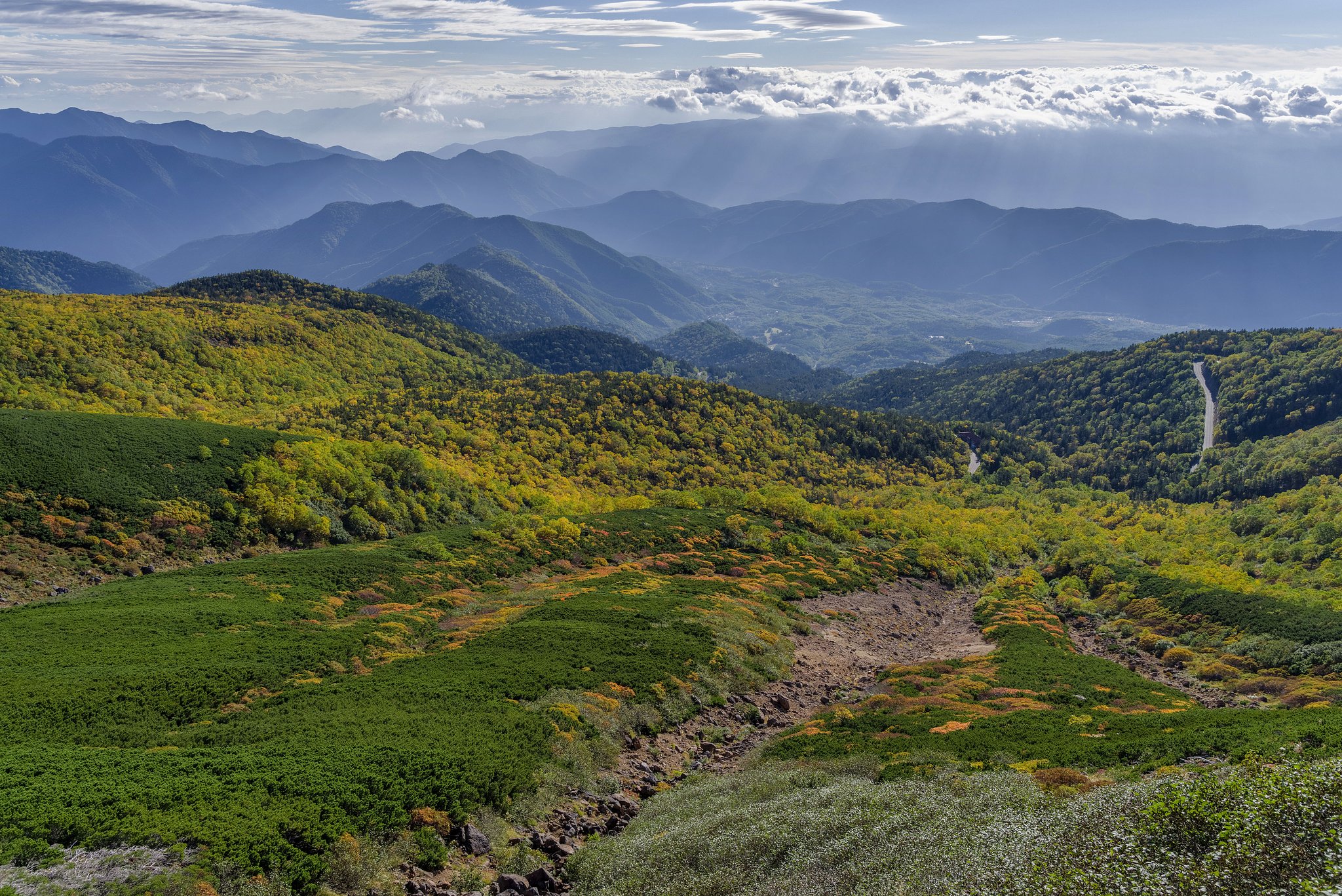 山岳紅葉