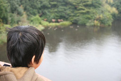 マーク・トゥエイン号乗船記念