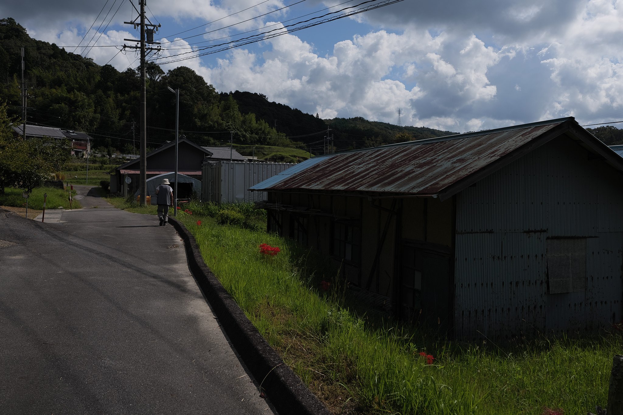田舎の