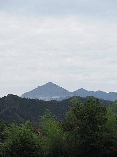 アサギマダラに負けました(^o^;)