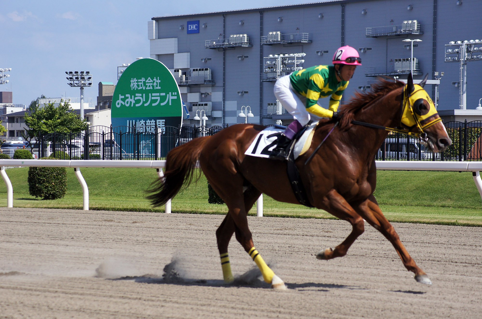 川崎競馬