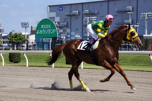 川崎競馬