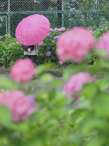 最後のピース
