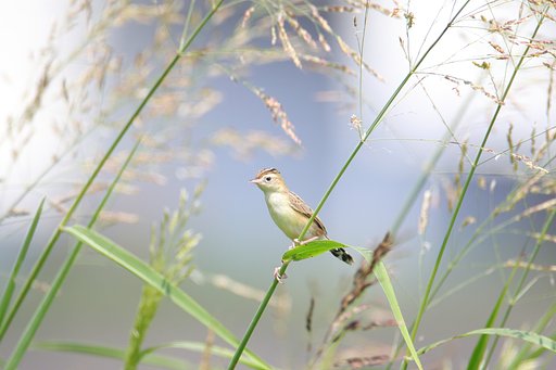 7月23日の写真