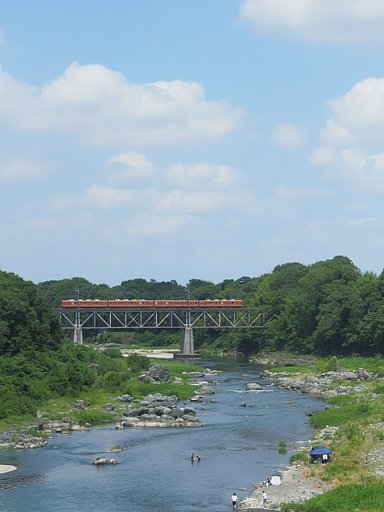 7月22日の写真