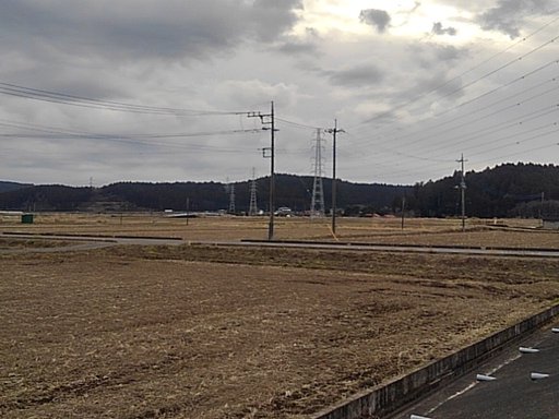 2月29日の写真