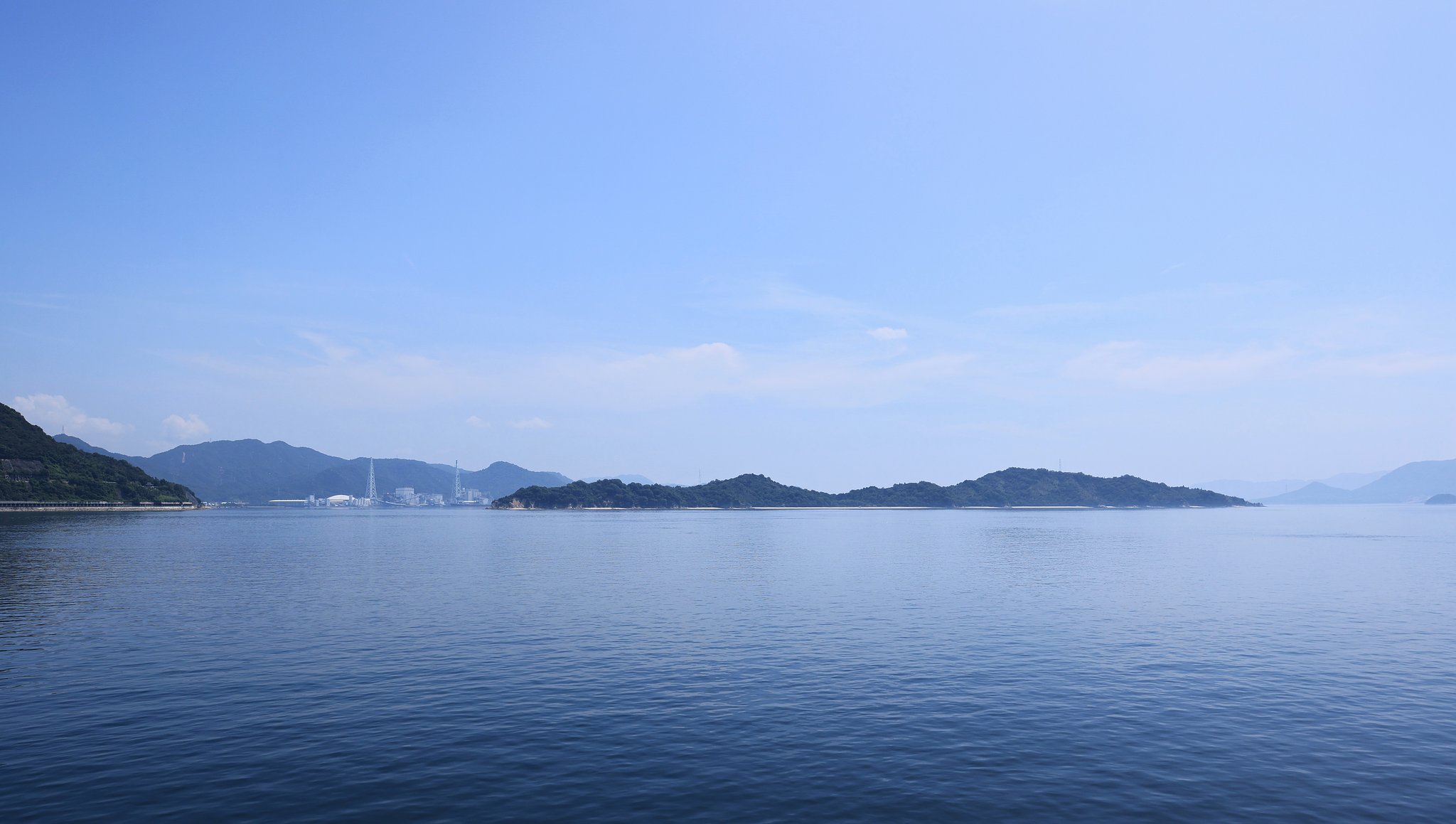 スナメリの遊ぶ海