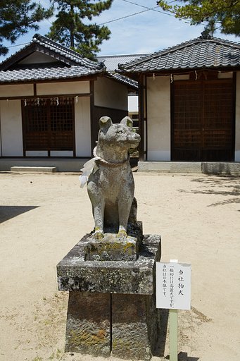 雑感