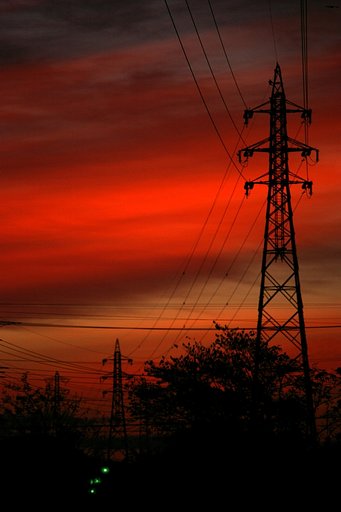 朝焼けの電線ブルース