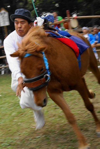 【５０】おまんと祭り