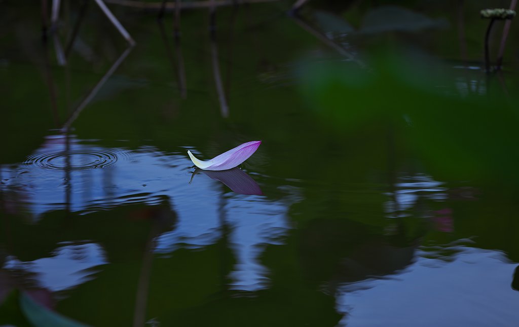 flower raft