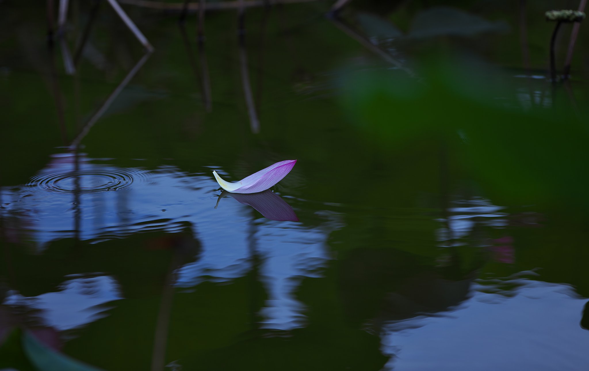 flower raft