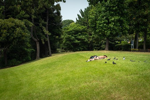 7月19日の写真