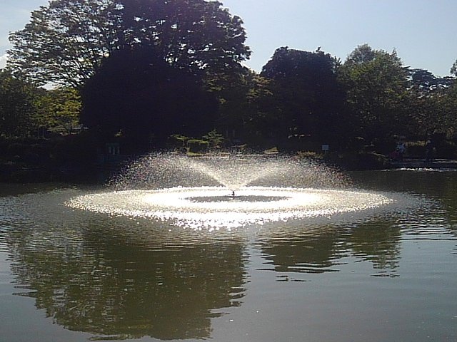 光る噴水