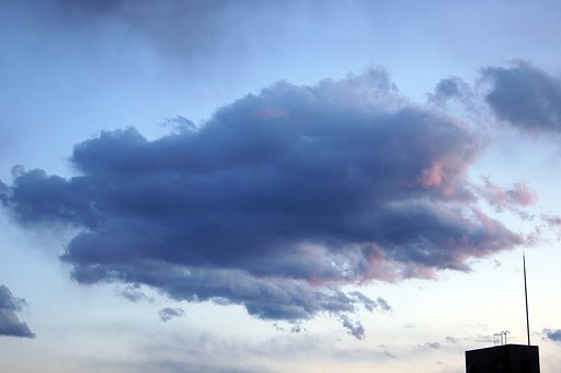 魚雲？