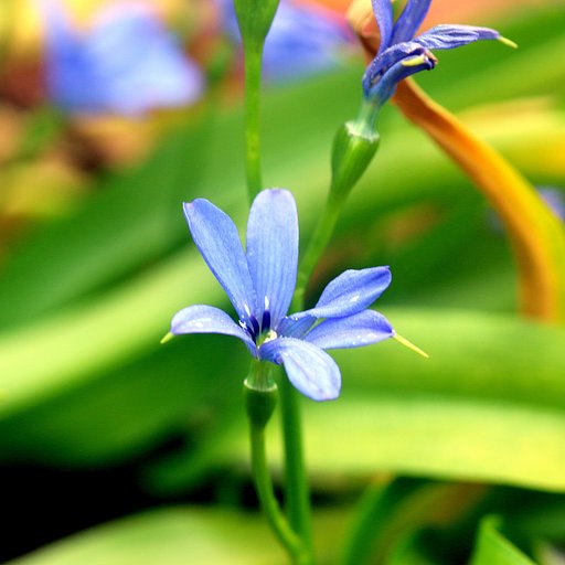 Tamron 90mm F2.8 macro