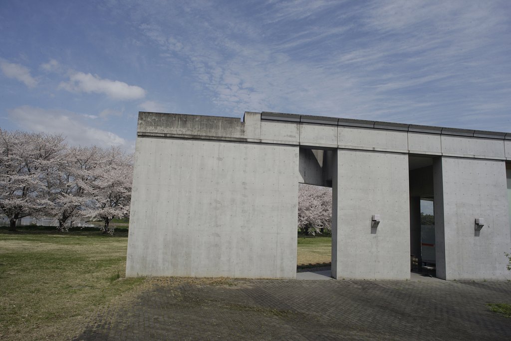 記憶する写真