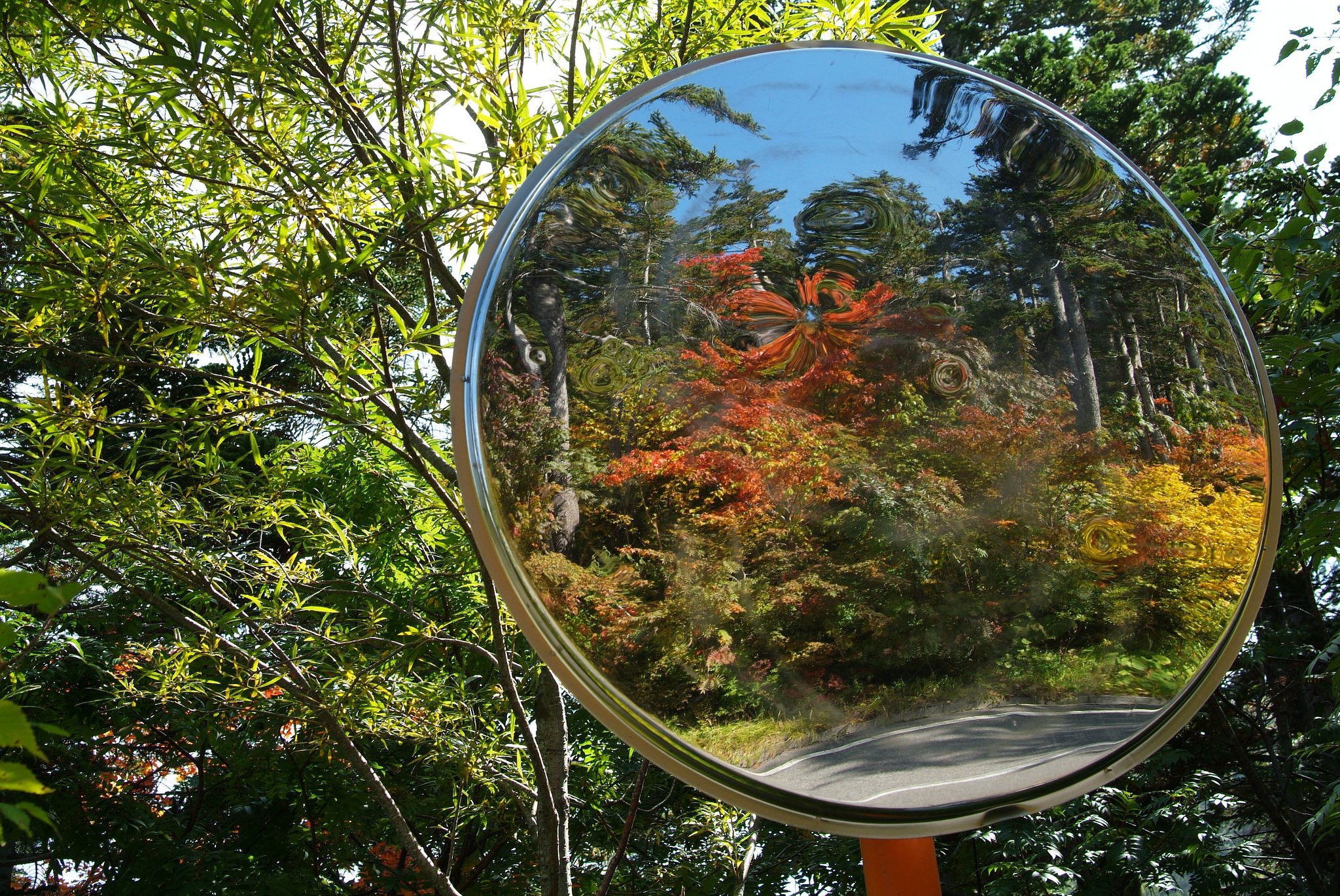 紅葉のコーナー