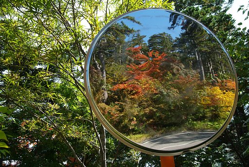 紅葉のコーナー