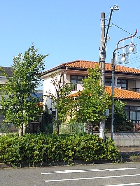 道路の向こうの面白い形の街灯